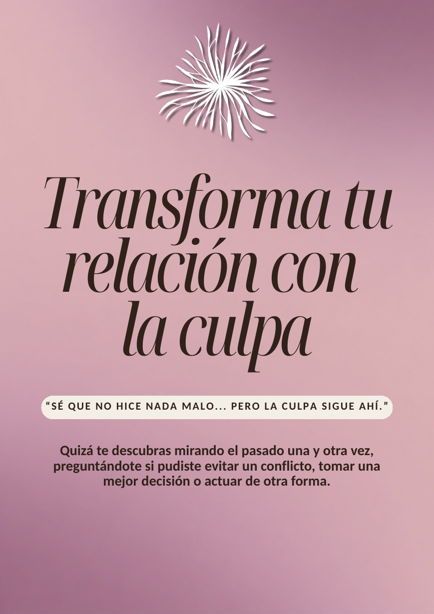 Workbook Culpa