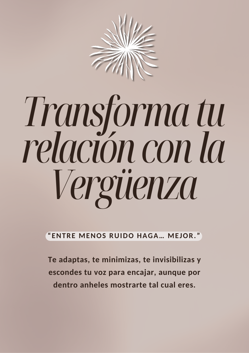 Workbook Vergüenza